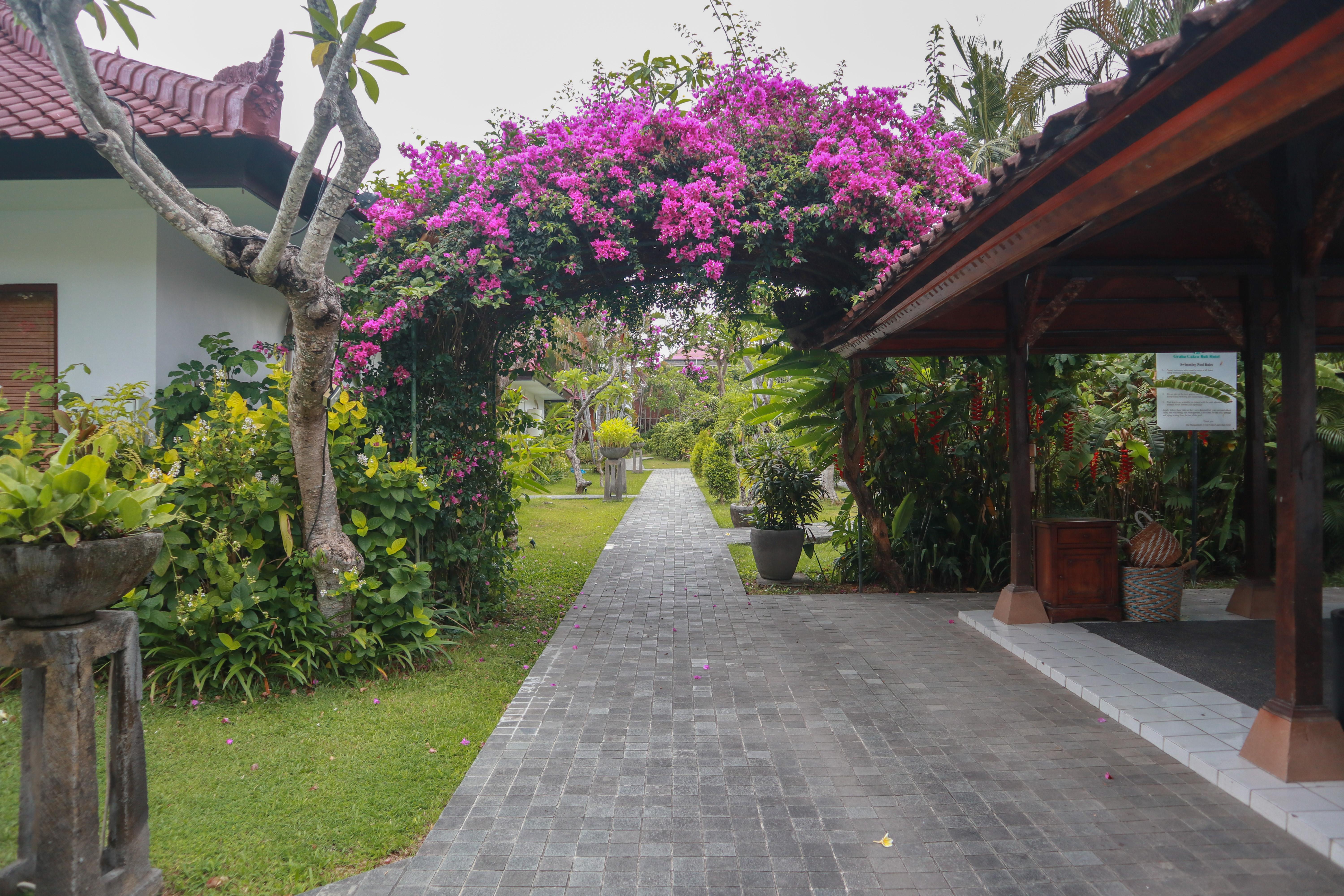 The Cakra Hotel Denpasar Esterno foto